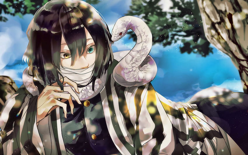 Anime Snake , Snake Hashira HD wallpaper