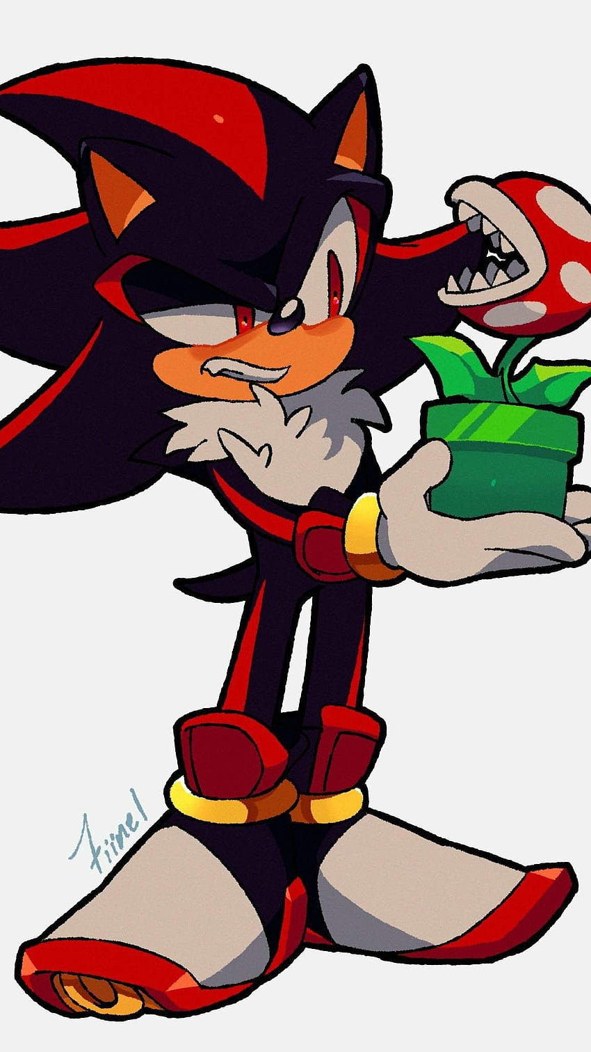 Download Sonic And Shadow The Hedgehog Pfp Fanart Wallpaper