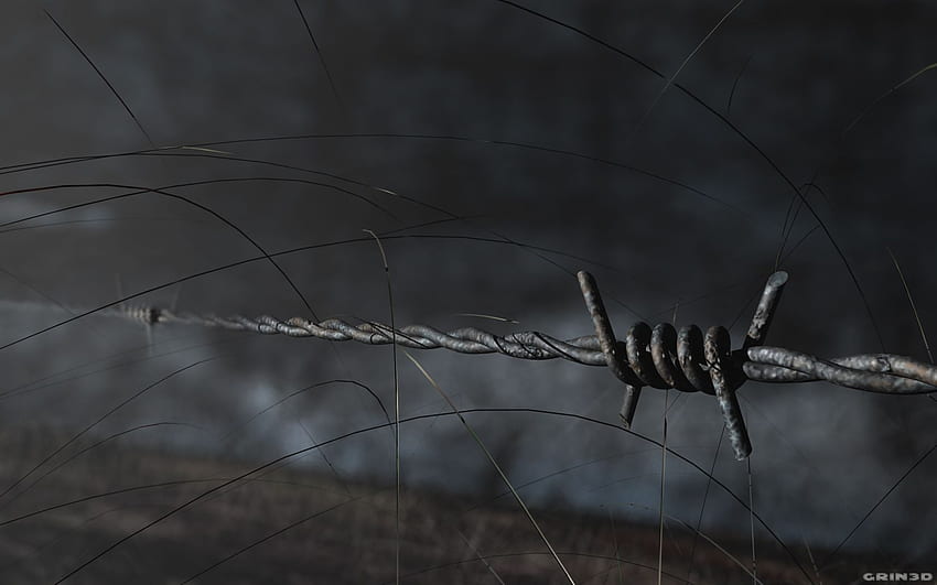 Barb Wire And Background - Barb Wire Fence, Barbed Wire Fences HD wallpaper