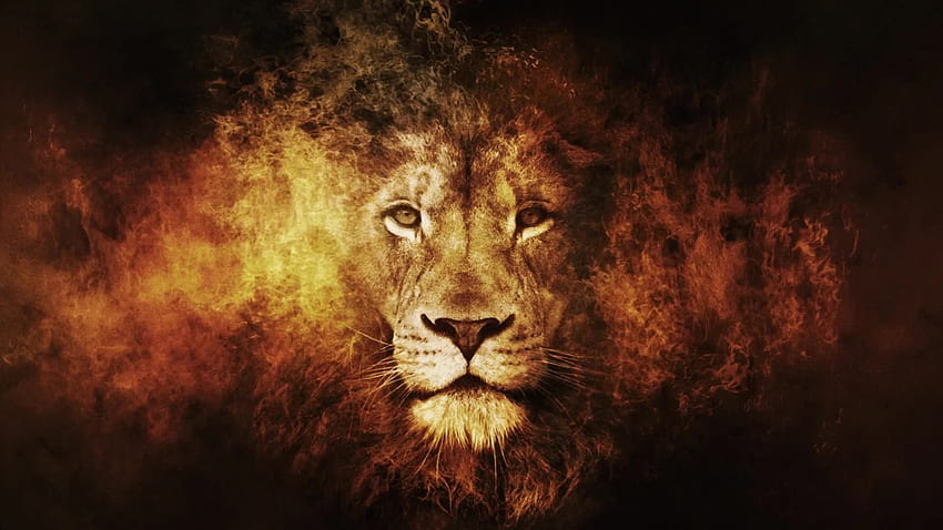 Lion Head In Fire Fantasy Live, Lion Cross HD wallpaper