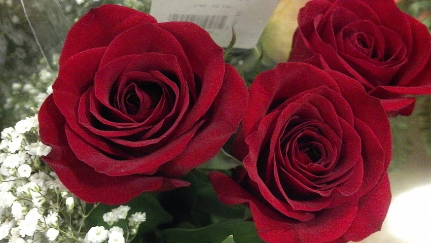Rosey Red Rose, bouquet, rose, bouquet di rose, rose rosa, bel fiore verde, rosa rosa, rosa gialla, bella rosa, rose rosse, bellissime rose, fiori gialli, rose gialle Sfondo HD