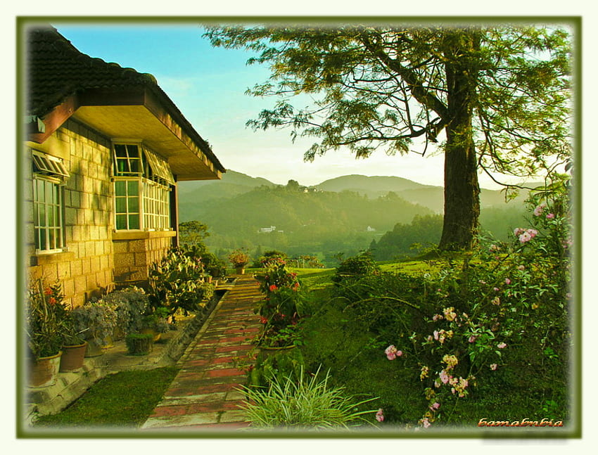 Green House, in a home comfort, beautiful nature, beautiful landscape HD  wallpaper | Pxfuel