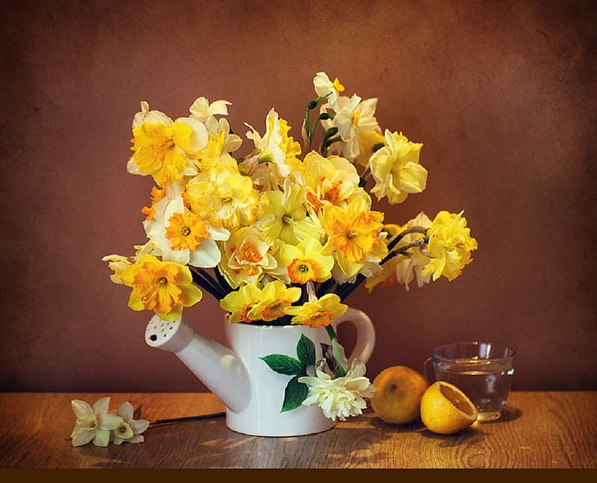 watering can, spring flowers and cup of tea, still life, daffodils, flowers, watering can, spring HD wallpaper
