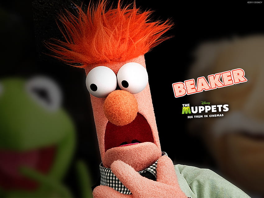 Pics Beaker The Muppet Show [] para tu móvil y tableta. Explora los Muppets Beaker. Muppets para computadora, Muppets Animal, The Muppet Show, Muppets divertidos fondo de pantalla
