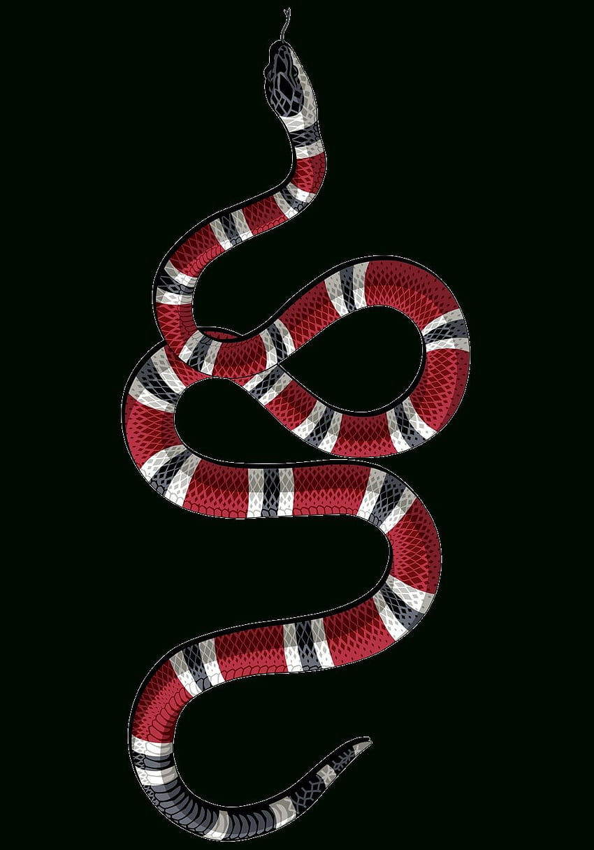 Coolest Gucci Snake, Gucci Bee HD phone wallpaper
