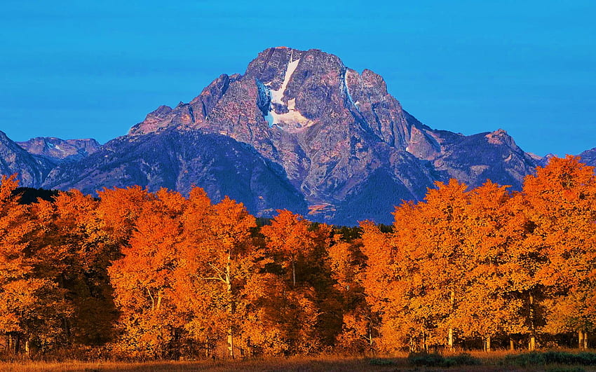 Mt. Moran, Wyoming, tetons, leaves, fall, autumn, landscape, trees, colors, sky, usa HD wallpaper