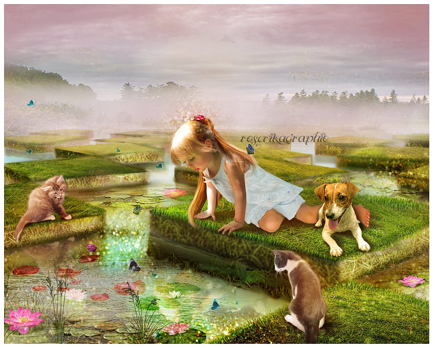✰.Another Beautiful Day.✰, kitten, dog, grasses, colors, manipulation, reflections, charm, butterflies, animals, bright, adorable, female, sweet, eyes, kids, cat, leaves, looks, fantasy, pretty, face, nature, lilies, hair, lovely, colorful, kitty, cute, digital art, dress, beauty, butterfly, lips, flutter, water, pond, wings, children, beautiful, people, landscapes, love, bridge, cool, clouds, girls, sky, flowers, lotus HD wallpaper