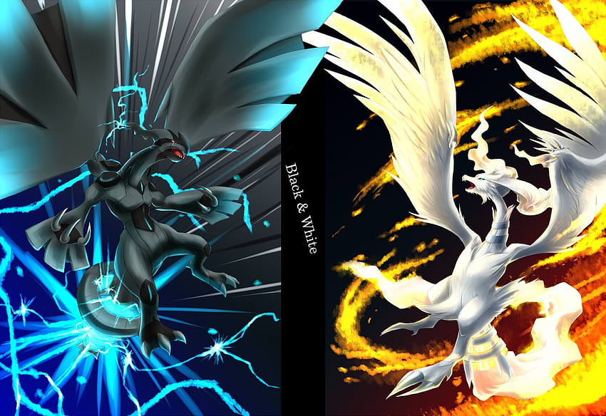 Download Reshiram, Rayquaza, And Kyurem Fusion Wallpaper