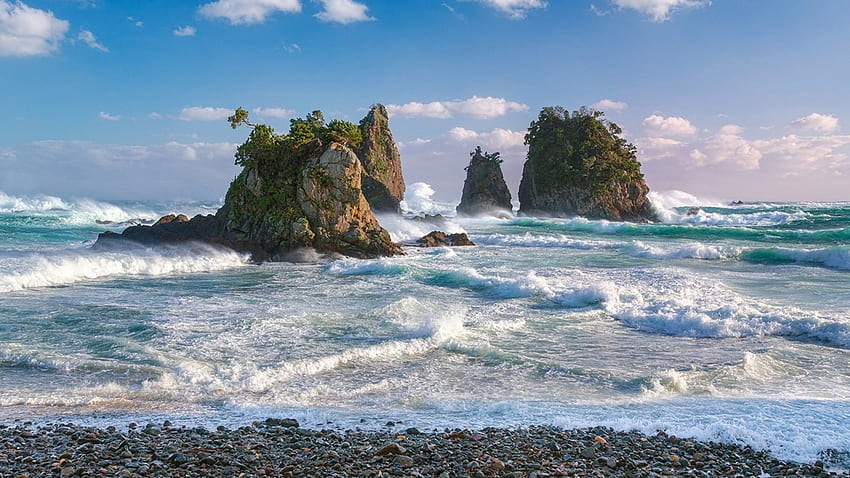 schöne, mit Pflanzen bedeckte Felsen an einer rauen Küste, Meer, Wellen, Felsen, Vegetation, Brandung, Steine HD-Hintergrundbild