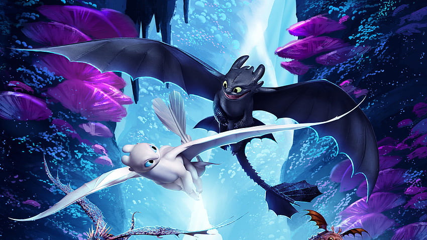 How To Train Your Dragon Night Light, How to Train Your Dragon 3 HD wallpaper