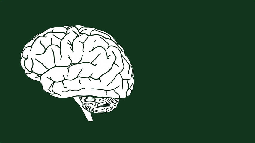 Gehirn . Gehirn, künstliche Intelligenz Gehirn und Gehirnmedizin HD-Hintergrundbild