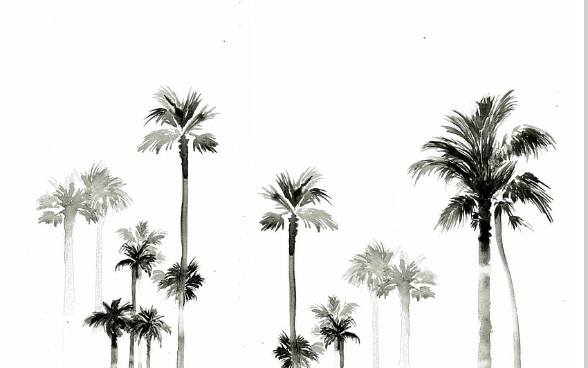 Palm Trees Wallpapers  Wallpaper Cave