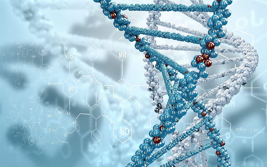 Molécula de DNA, fundo de ciência azul, fundo com DNA, ácido desoxirribonucléico, DNA, molécula, biologia papel de parede HD