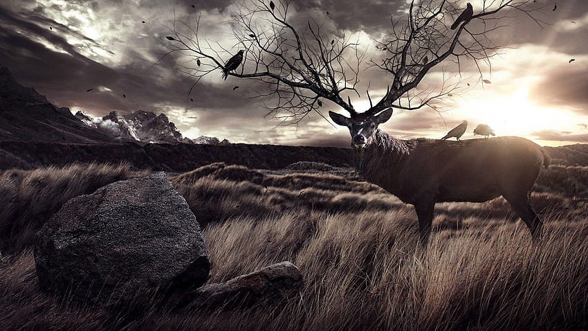 Male Deer In Dusk HD wallpaper