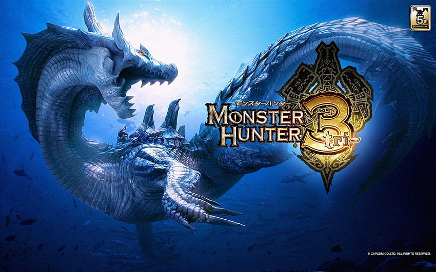 Monster Hunter Tri HD wallpaper