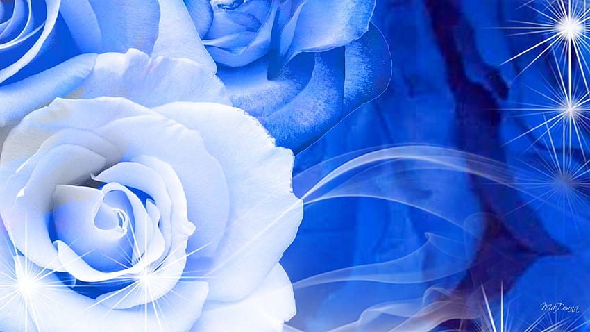Blue Flowers Background, Blue and White Rose HD wallpaper