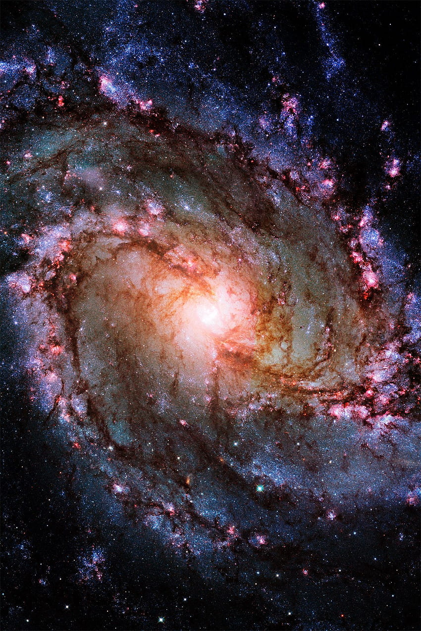 Este nuevo Hubble muestra la galaxia espiral Messier 83, también conocida como Southern Pinwheel Galaxy. Thi. Telescopio espacial, Espacio Hubble, Espacio y astronomía, Hubble Andrómeda fondo de pantalla del teléfono
