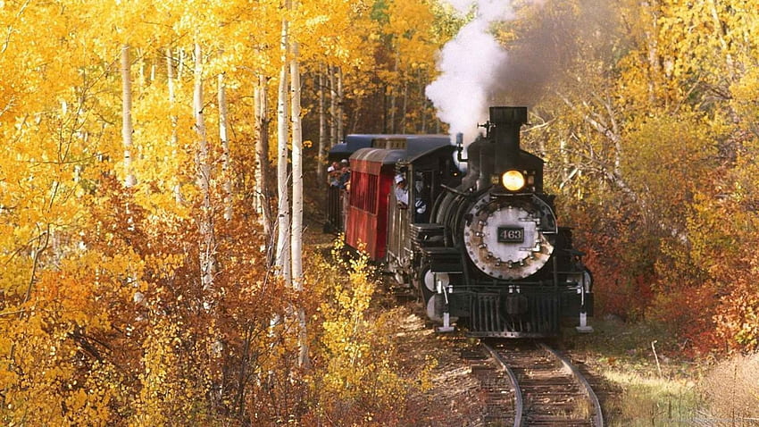 treno a vapore della valle di cuyahoga in autunno, autunno, binari, treno, vapore, foresta Sfondo HD