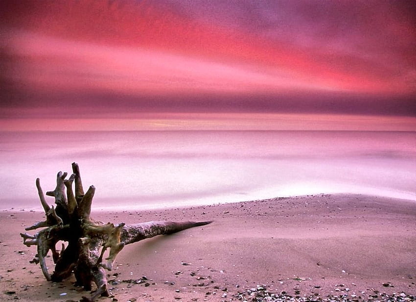 pustynia_zmierzch, drewno, zachody słońca, kolory, przyroda, plaża Tapeta HD
