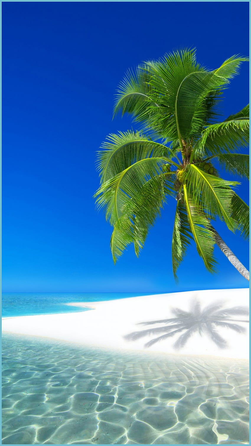 Cómo puedes asistir a un iPhone tropical con un presupuesto mínimo. iPhone tropical, iPhone de playa soleada fondo de pantalla del teléfono