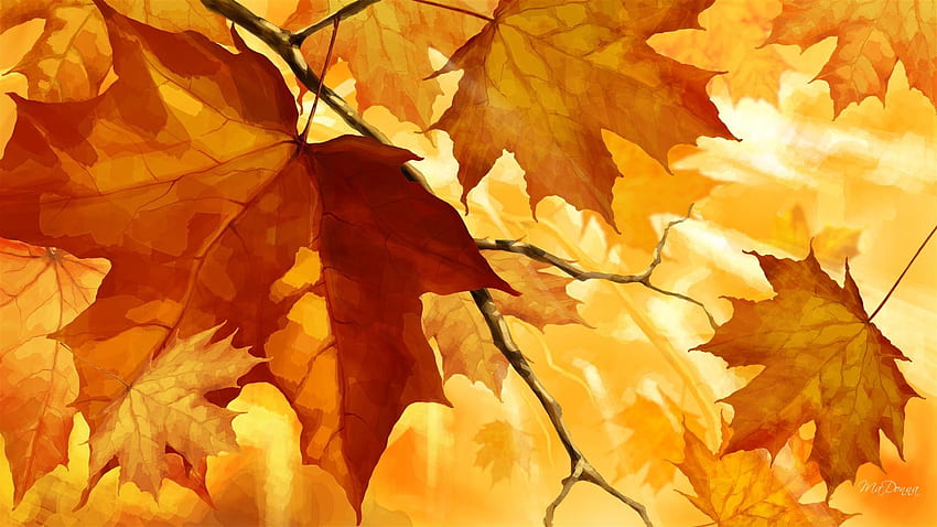 Season Tag - Light Autumn Firefox Orange Leaves Season Fall Change Persona Color Nature Waterfall HD wallpaper