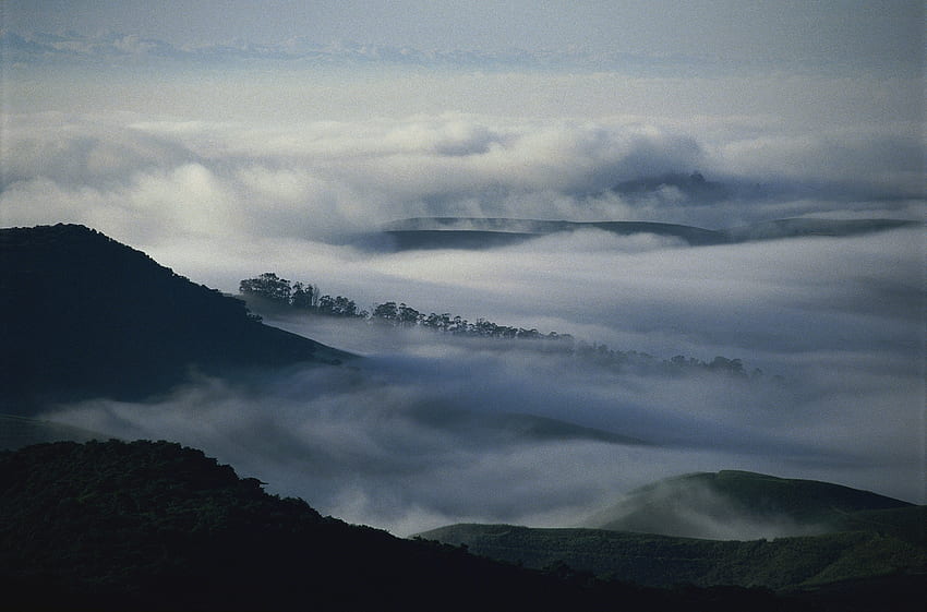 Natur, Bäume, Berge, Wolken, Nebel, Dunkelheit, Dunst HD-Hintergrundbild