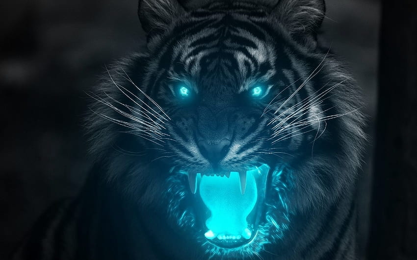 Тигър, син тигър HD тапет