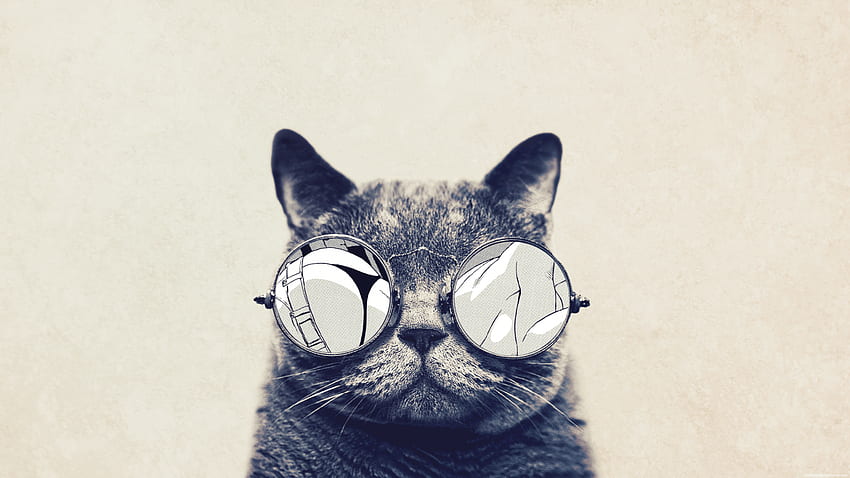 Hipster Cat Full • dodskypict, Hipster Wolf HD wallpaper