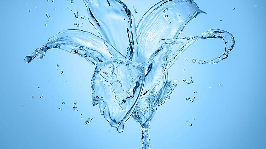 lilium Gráficos 3D flor Respingos de água Closeup de água papel de parede HD
