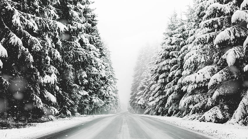 Road, Forest, Snow, Winter Landscape, Black and White Ultra Background for U TV : & UltraWide & Laptop : Multi Display, Dual & Triple Monitor : Tablet : Smartphone HD wallpaper