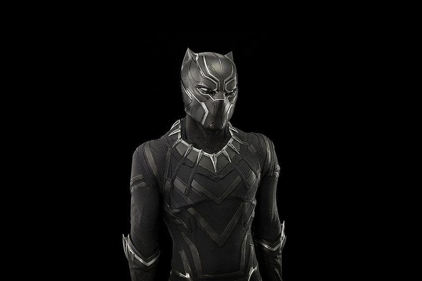 Black Panther เปลี่ยนหนังสือการ์ตูน (และ Wakanda) ไปตลอดกาลได้อย่างไร ที่สถาบันสมิธโซเนียน ชุดเสือดำ วอลล์เปเปอร์ HD