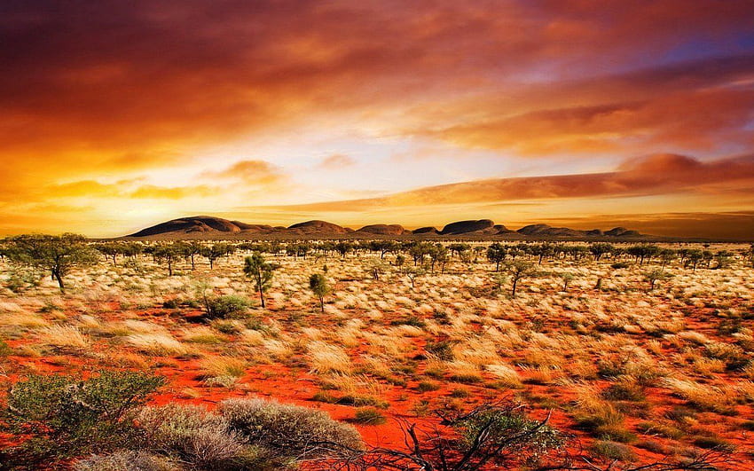 Desierto australiano. Australia <3. australia, tasmania, campo australiano fondo de pantalla