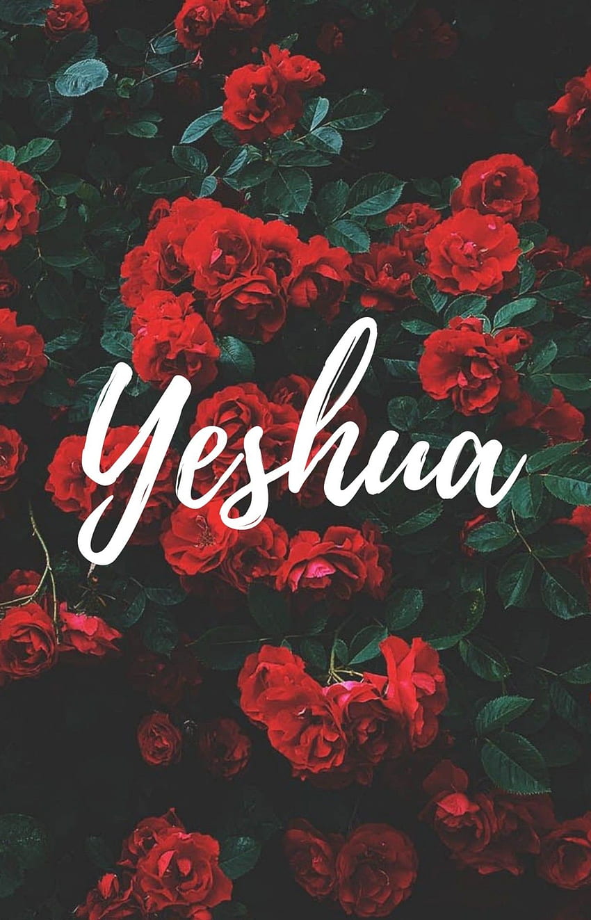 Yeshua papyrus  wallpaper iphone 6  Handmade with pen on c  Flickr