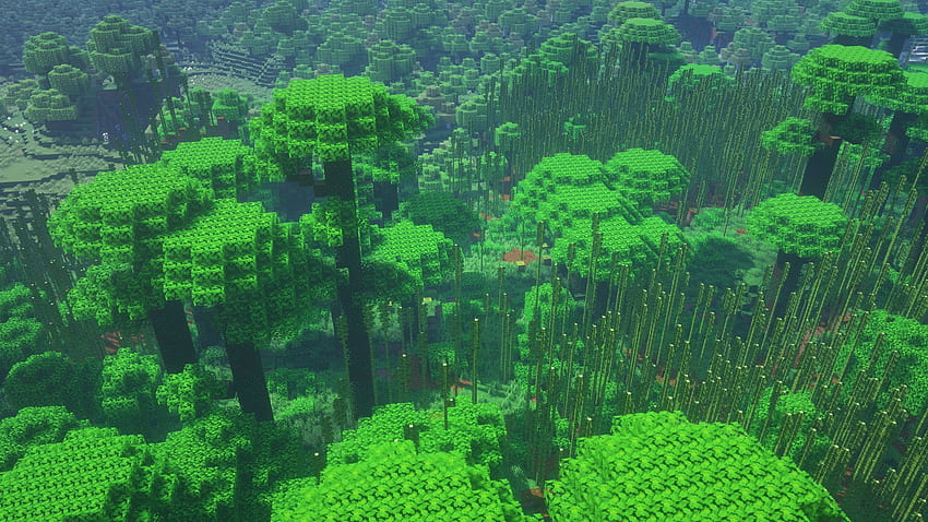 En İyi Minecraft tohumları 1.16.1 - Taş Kağıt Av Tüfeği, Minecraft Ormanı HD duvar kağıdı
