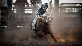 Bull Riding Wallpapers  Wallpaper Cave
