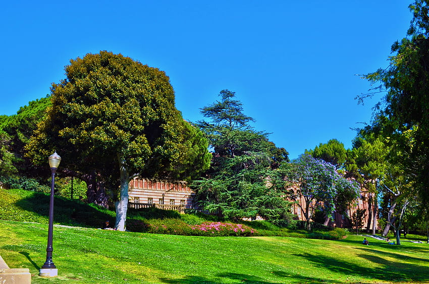 Displaying 16 For Ucla Campus [] for your , Mobile & Tablet. Explore USC Campus . USC Campus , Usc , Usc Trojan HD wallpaper