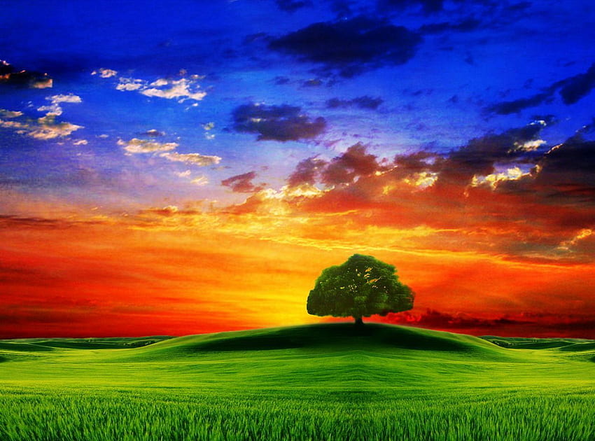 Nature - Nature Colorful Background -, Colorful Nature Landscape HD wallpaper