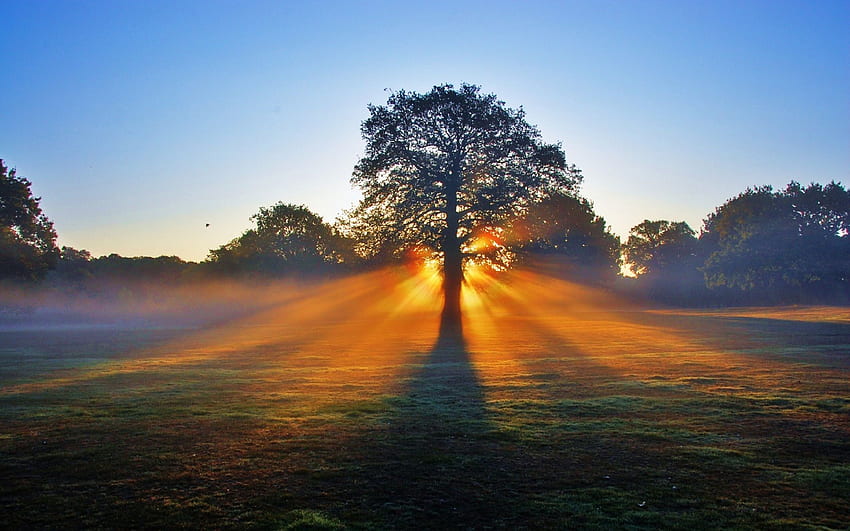 Gorgeous Morning Sunshine MKJYO3 px HD wallpaper