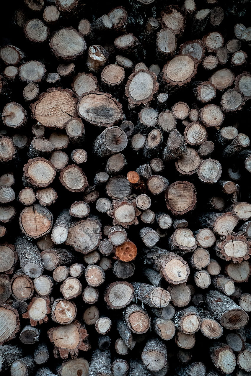 Wood, Wooden, Tree, Firewood, Logs HD phone wallpaper