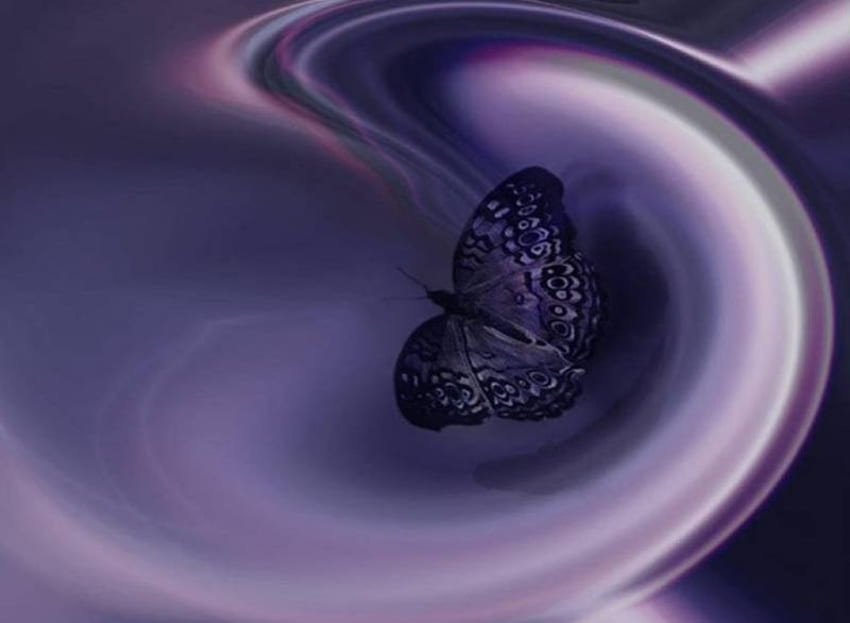 Butterfly Swirl, swirl, butterfly HD wallpaper