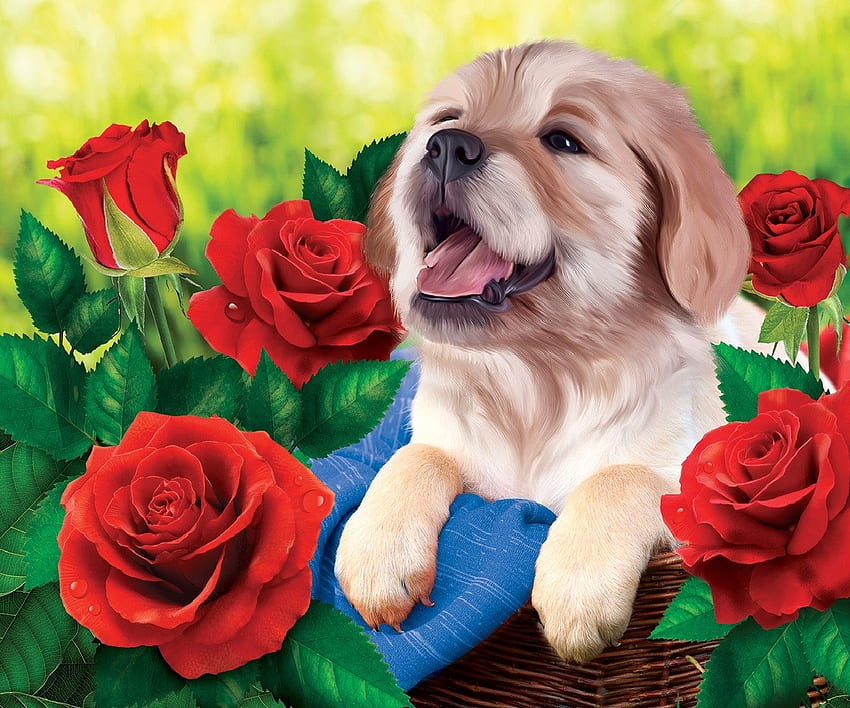 Dogs, flowers, nn, animals HD wallpaper | Pxfuel