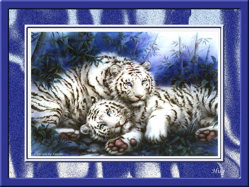for the love of blue, pair, white tigers, abstract, bordered HD wallpaper