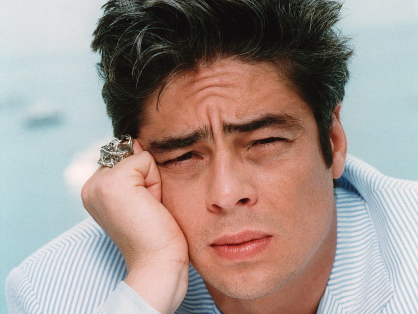 Benicio del Toro, olhos azuis, ator, lábios fofos, macho, cara dura papel de parede HD