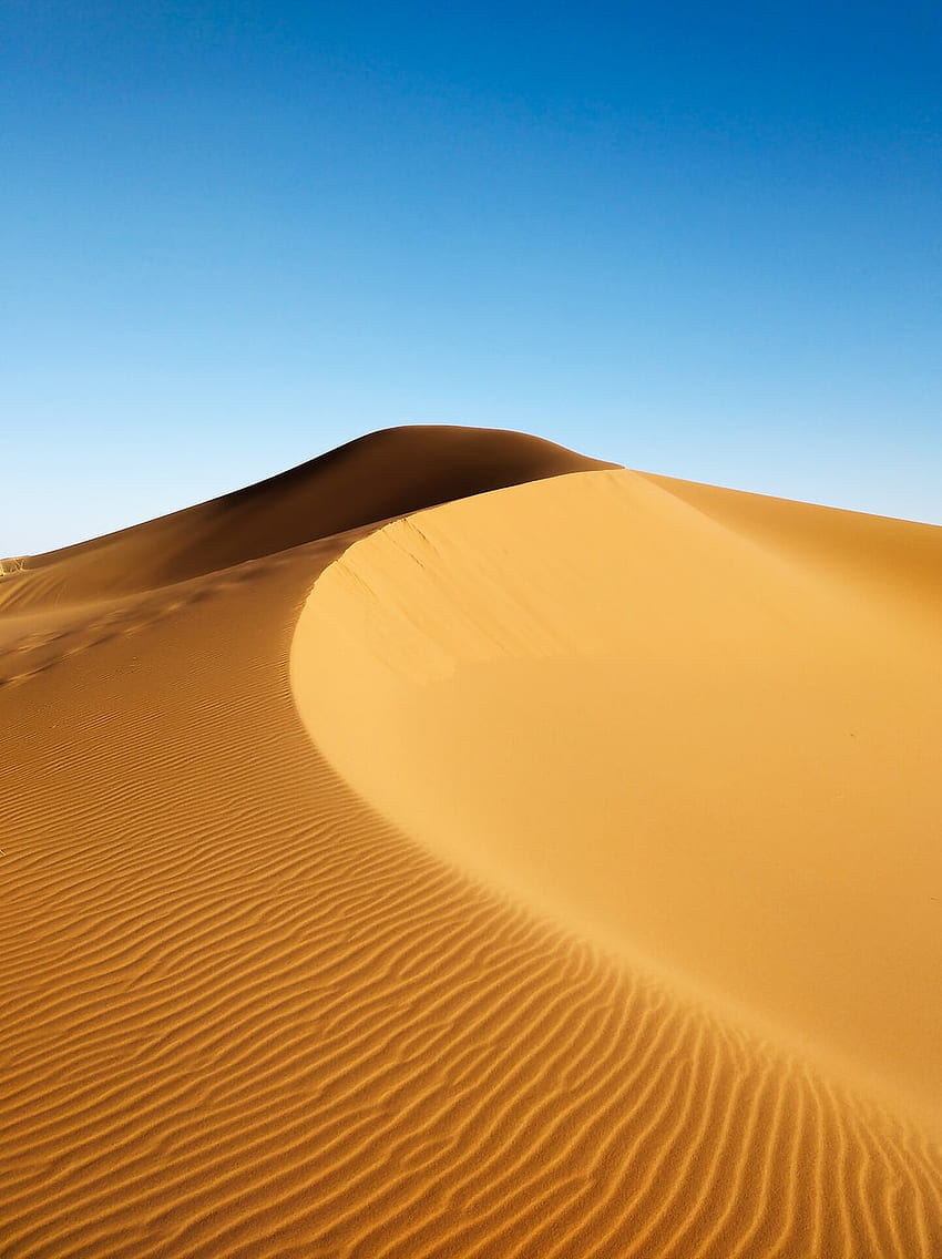 Sand Dune [], Beach Dunes HD phone wallpaper