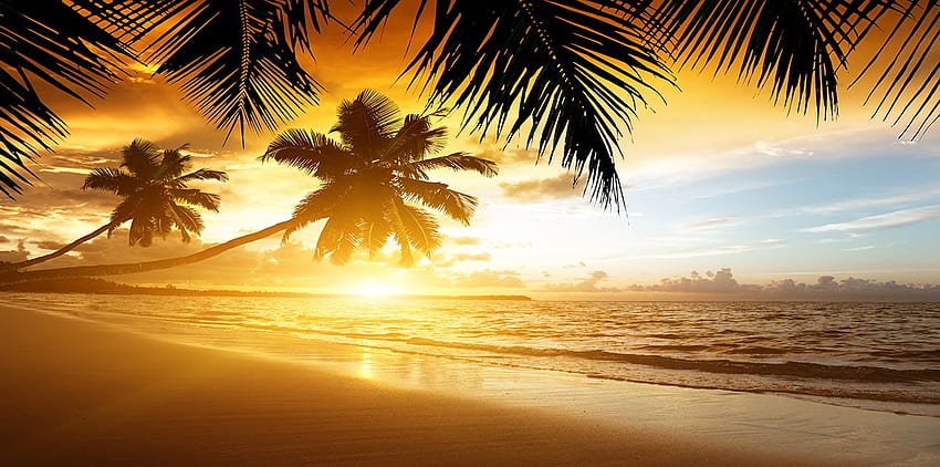 A Jamaica começa com águas cristalinas fluindo sobre jardins de corais, banhando-se em praias de areia macia. Pôr do sol na praia, Praia paradisíaca, Praia do nascer do sol papel de parede HD