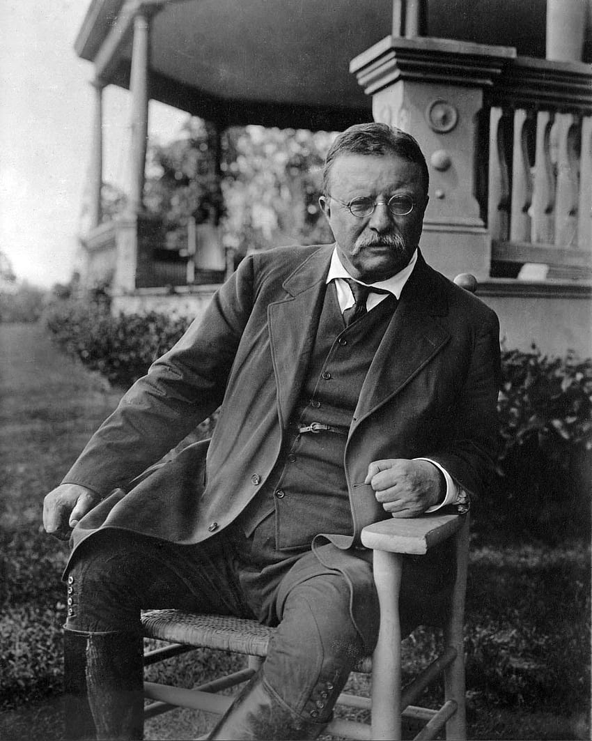 Theodore Roosevelt HD phone wallpaper