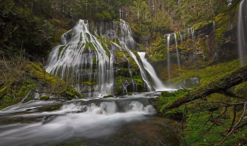 Panther Creek Falls, green, trees, water, rocks, forest HD wallpaper
