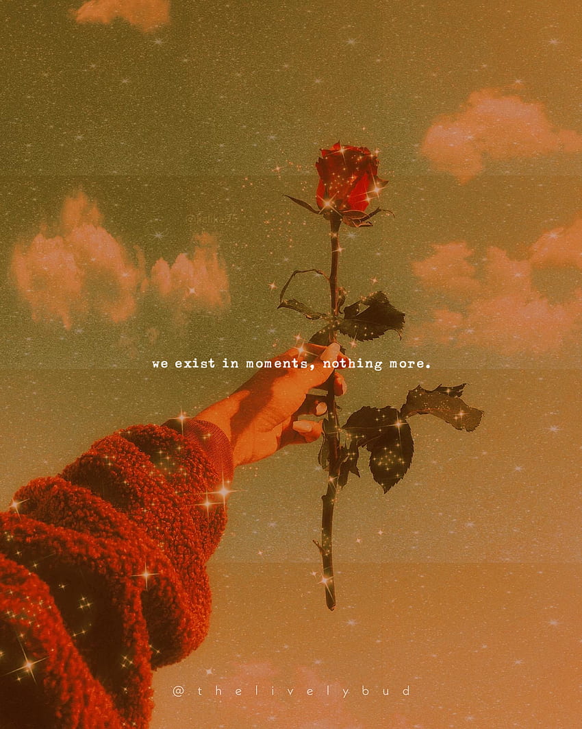 Aesthetic quote 1, iPhone, love, romance, vibe, deep, line, cute, life, digitalart, moment, red, beautiful, samsung, meaning, golden, saying, sweater, hand, art, pretty, nature, words, pleasing, orange, warm, background, rose HD phone wallpaper