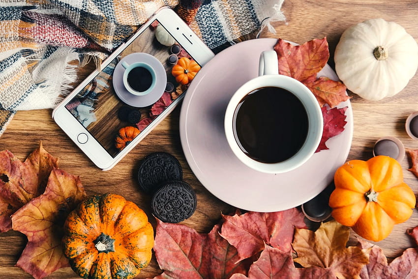 iPhone That Will Make You Fall In Love With, Autumn Tea Aesthetic HD wallpaper