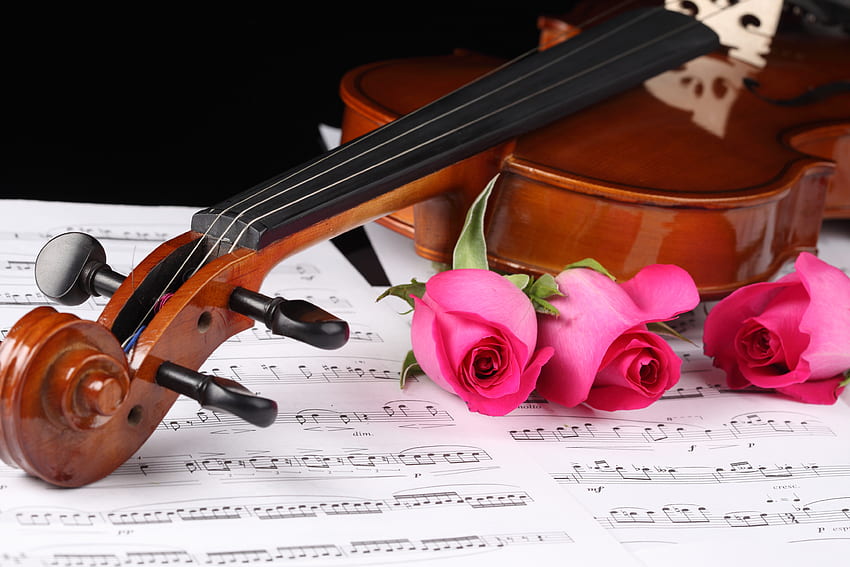 Romance, gentle, graphy, violin, nice, rose, music, flower, , notes, roses, elegantly, beautiful, pink, love, cool, flowers, harmony HD wallpaper